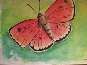 Butterfly sketch in Watercolor
